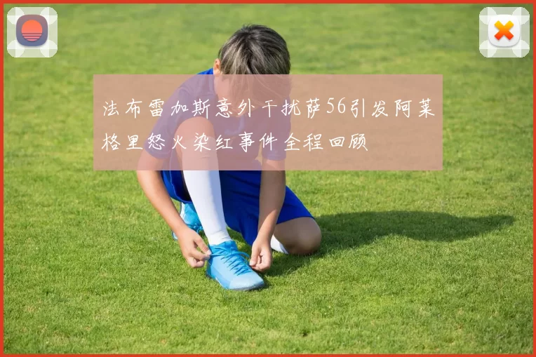 法布雷加斯意外干扰萨56引发阿莱格里怒火染红事件全程回顾